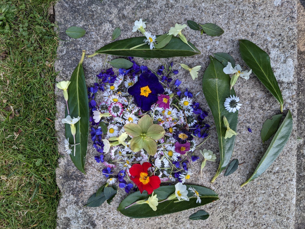Fleurs